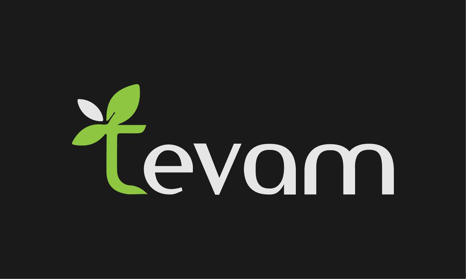 Tevam.com - Cool premium domain marketplace